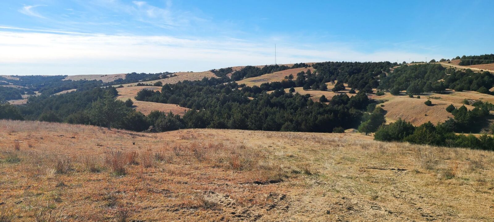 Wellfleet, Nebraska Lincoln County land for sale