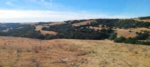 Wellfleet, Nebraska Lincoln County land for sale
