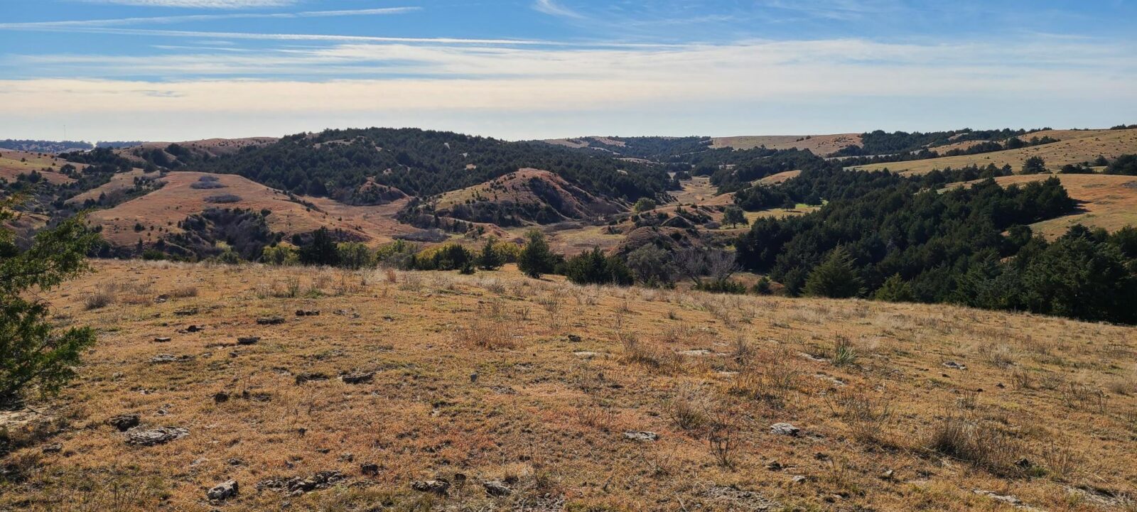 Wellfleet, Nebraska Lincoln County land for sale