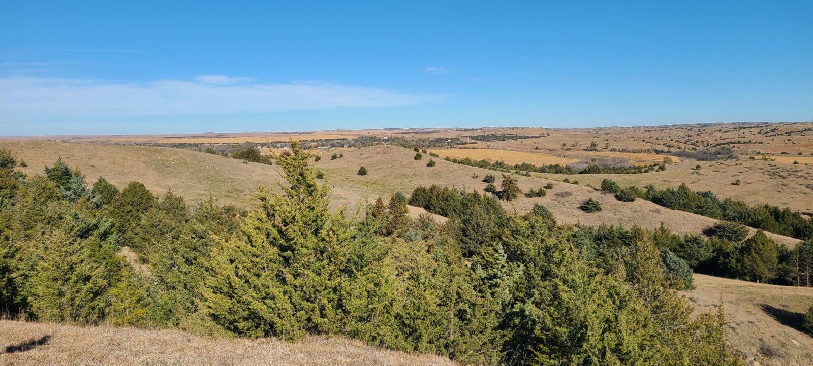 Wellfleet, Nebraska Lincoln County land for sale