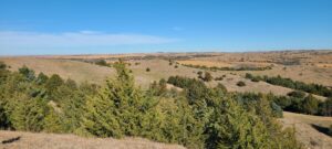 Wellfleet, Nebraska Lincoln County land for sale