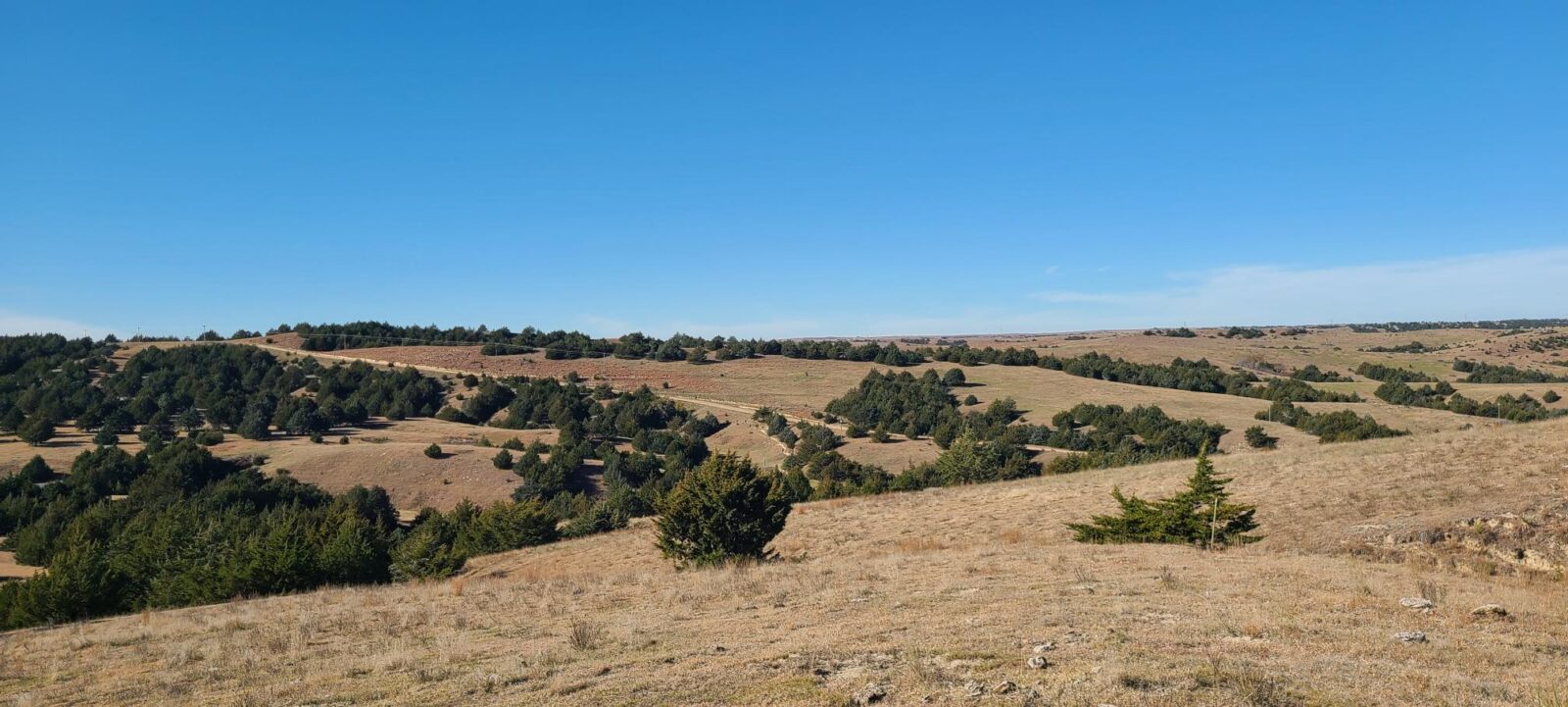 Wellfleet, Nebraska Lincoln County land for sale