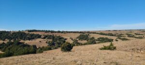 Wellfleet, Nebraska Lincoln County land for sale