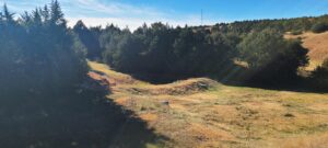 Wellfleet, Nebraska Lincoln County land for sale