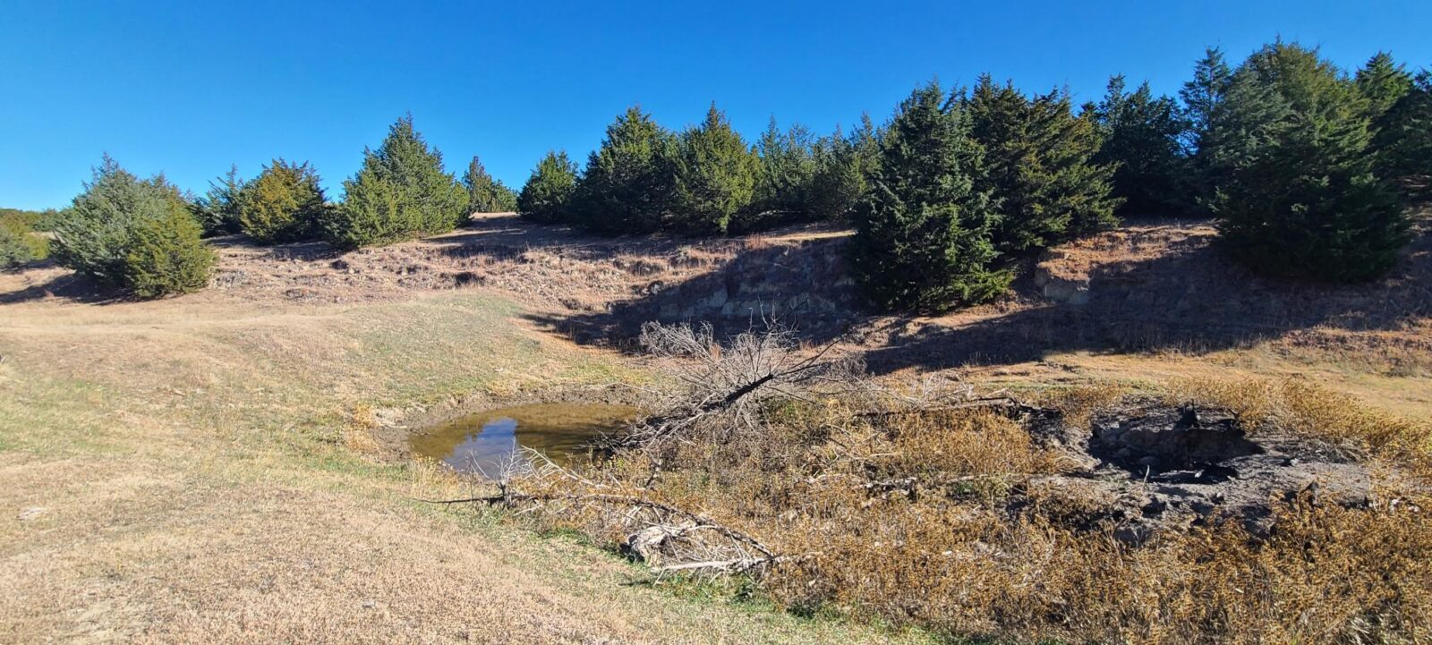 Wellfleet, Nebraska Lincoln County land for sale