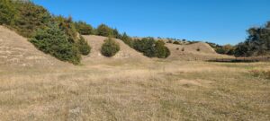 Wellfleet, Nebraska Lincoln County land for sale