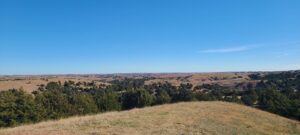Wellfleet, Nebraska Lincoln County land for sale