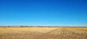 Keith County Nebraska farm ground for sale