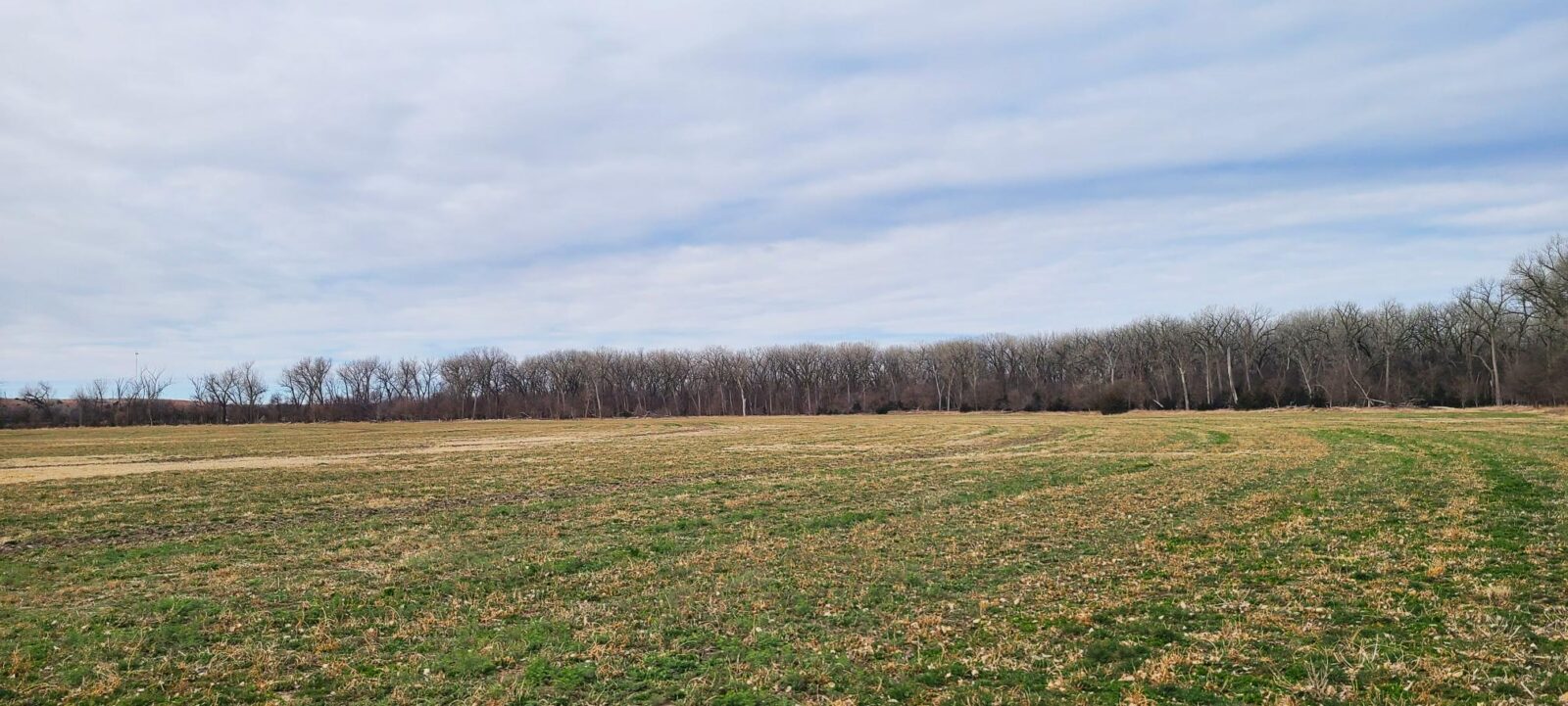 Harlan County Nebraska Farm hunting land for sale