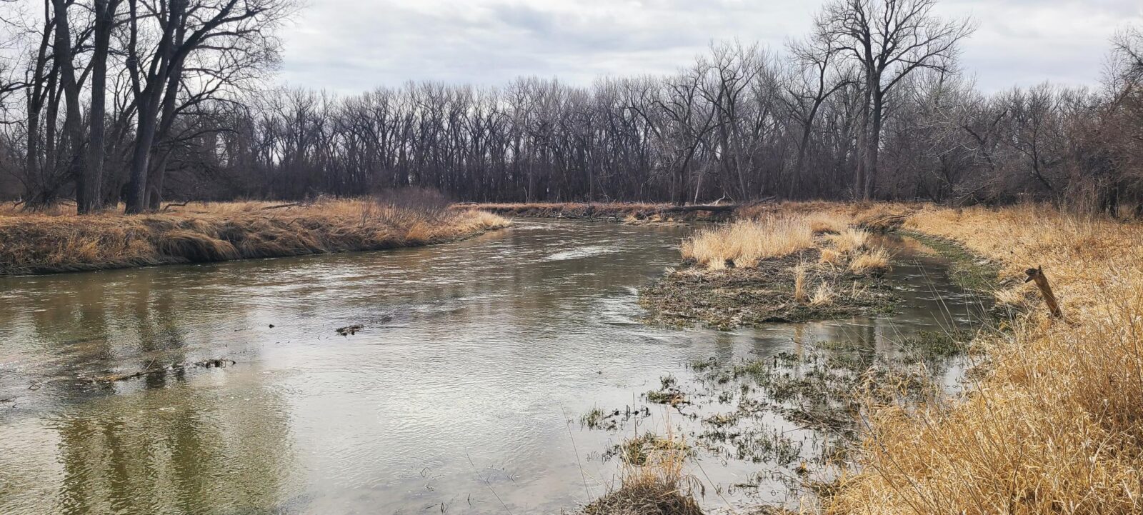 Harlan County Nebraska Farm hunting land for sale