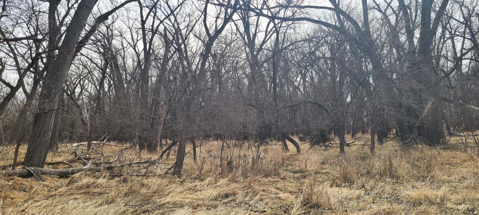 Harlan County Nebraska Farm hunting land for sale
