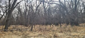 Harlan County Nebraska Farm hunting land for sale