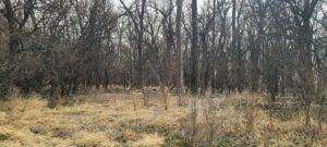 Harlan County Nebraska Farm hunting land for sale
