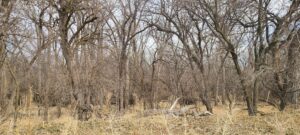 Harlan County Nebraska Farm hunting land for sale