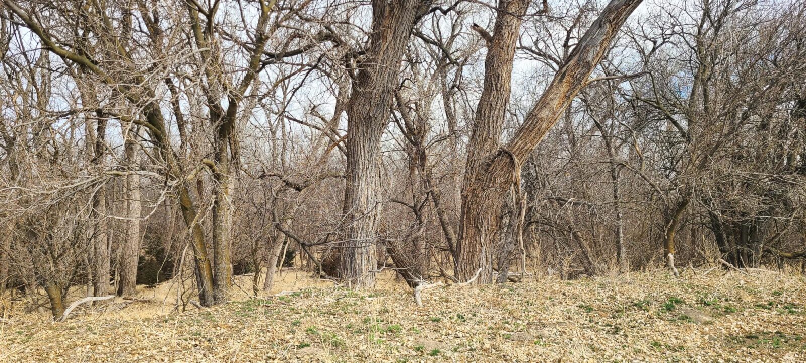 Harlan County Nebraska Farm hunting land for sale