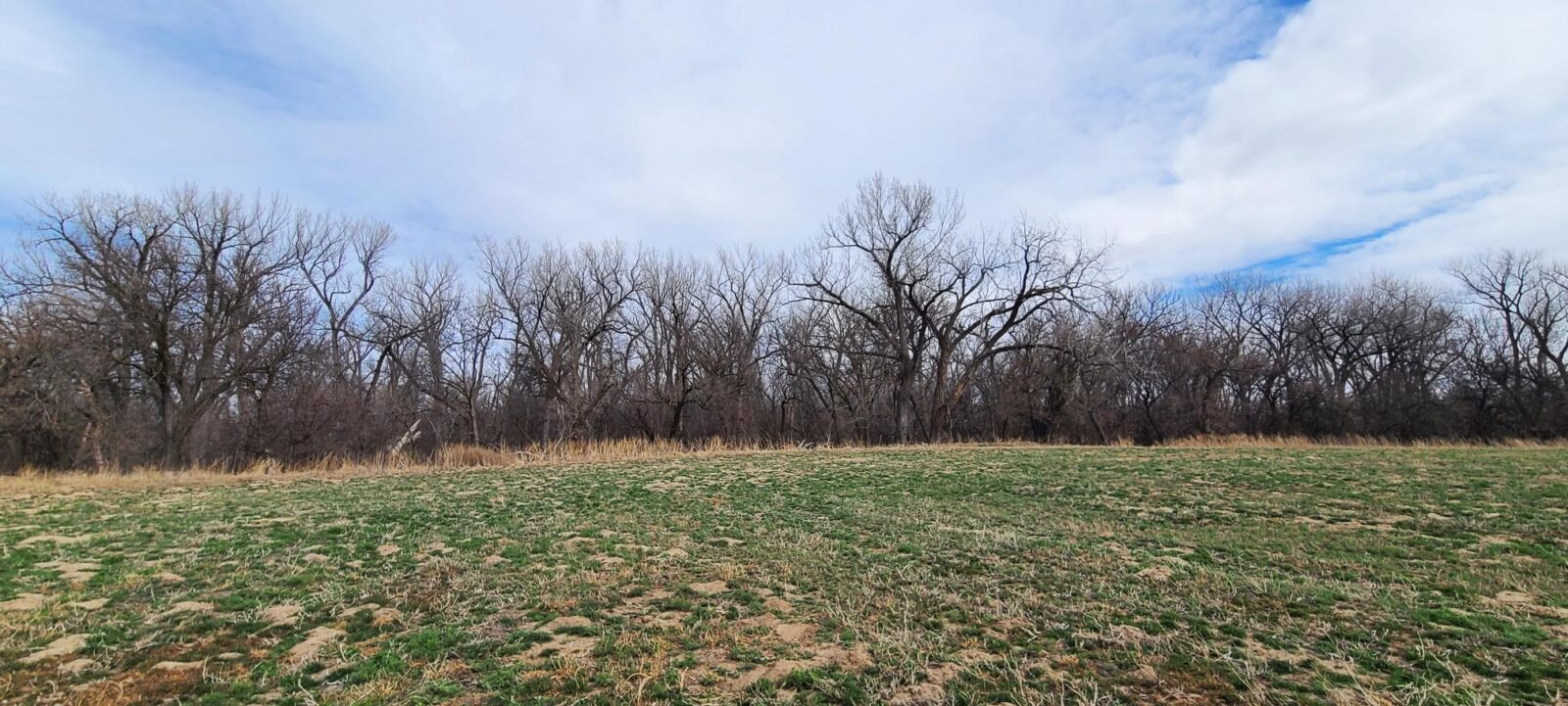 Harlan County Nebraska Farm hunting land for sale