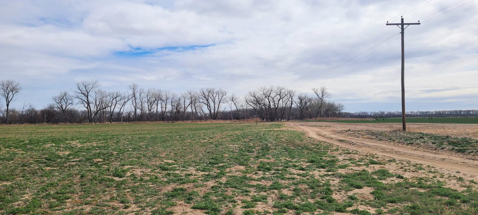Harlan County Nebraska Farm hunting land for sale