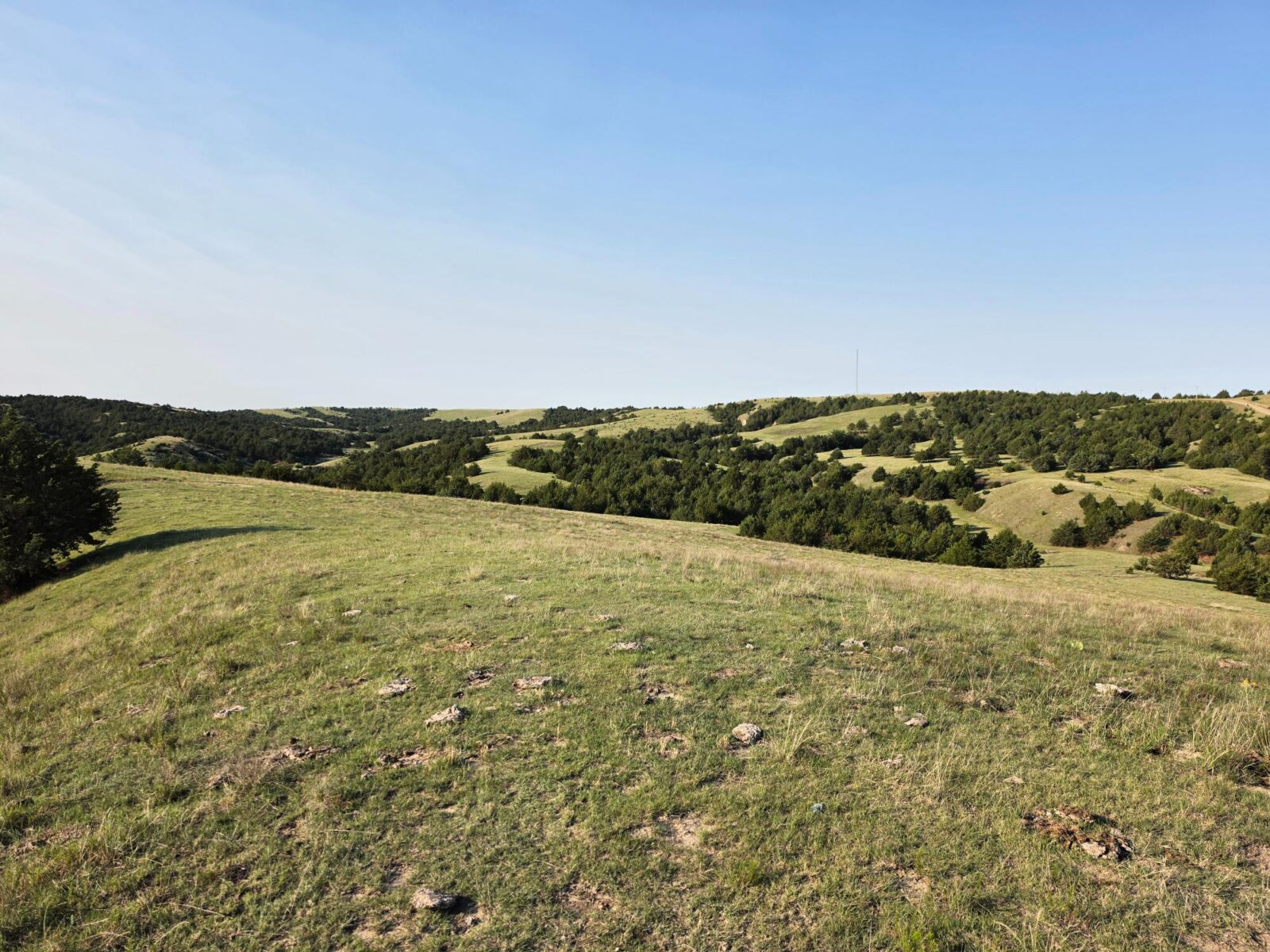 Wellfleet, Nebraska land for sale