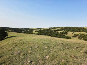 Wellfleet, Nebraska land for sale