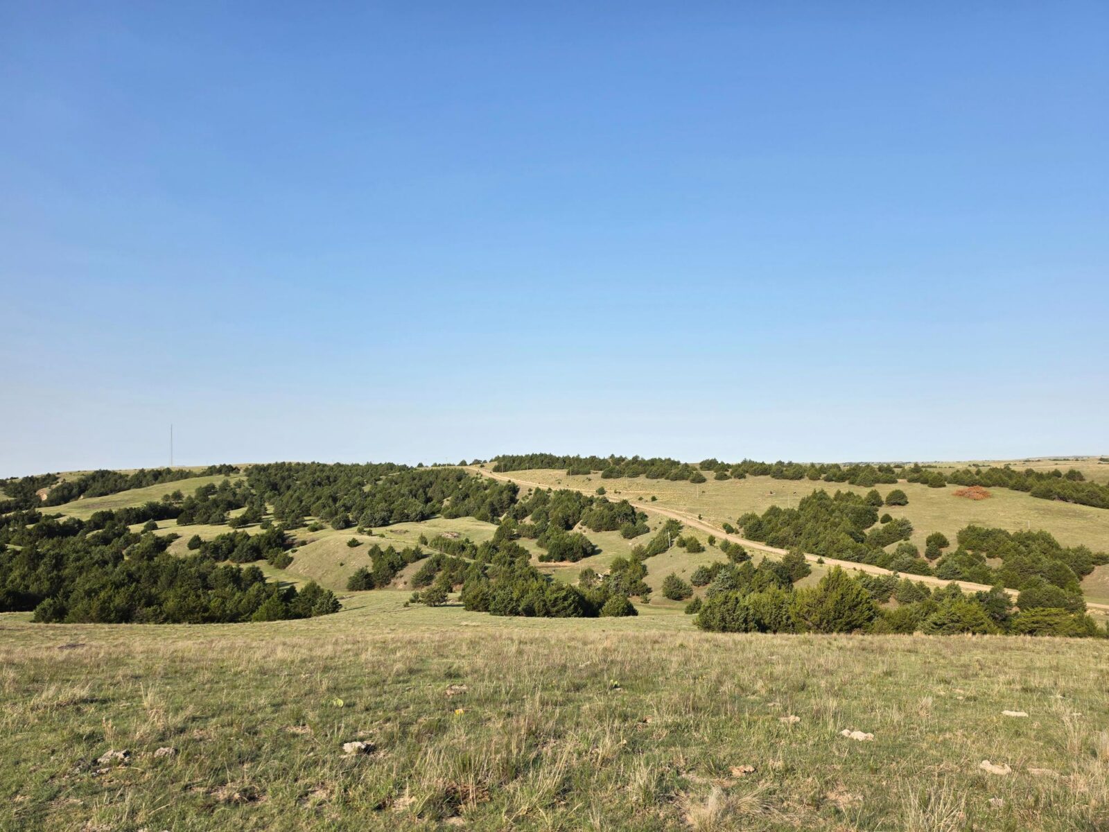 Wellfleet, Nebraska land for sale
