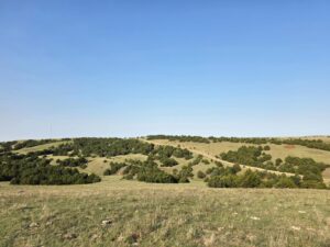 Wellfleet, Nebraska land for sale