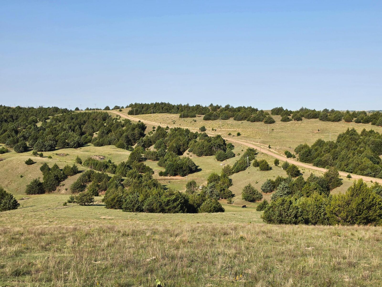 Wellfleet, Nebraska land for sale