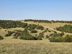 Wellfleet, Nebraska land for sale