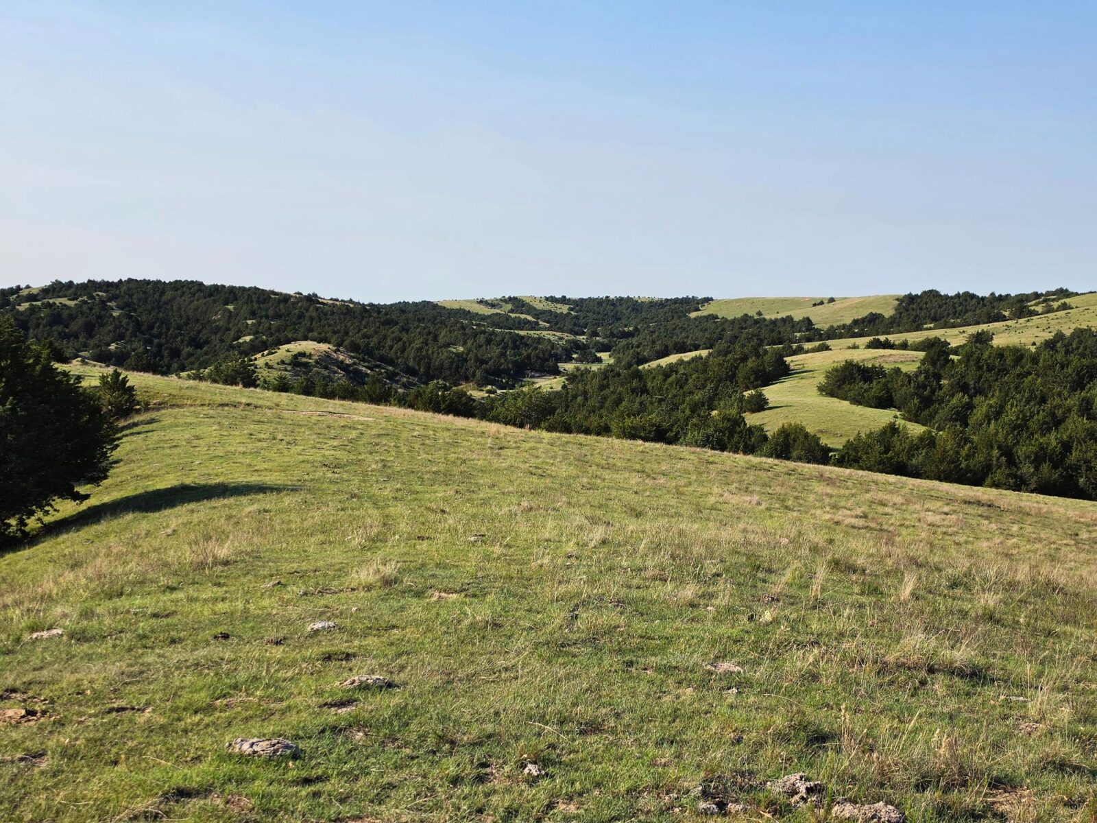 Wellfleet, Nebraska land for sale