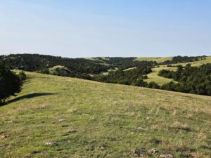 Wellfleet, Nebraska land for sale