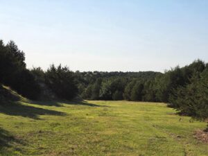 Wellfleet, Nebraska land for sale