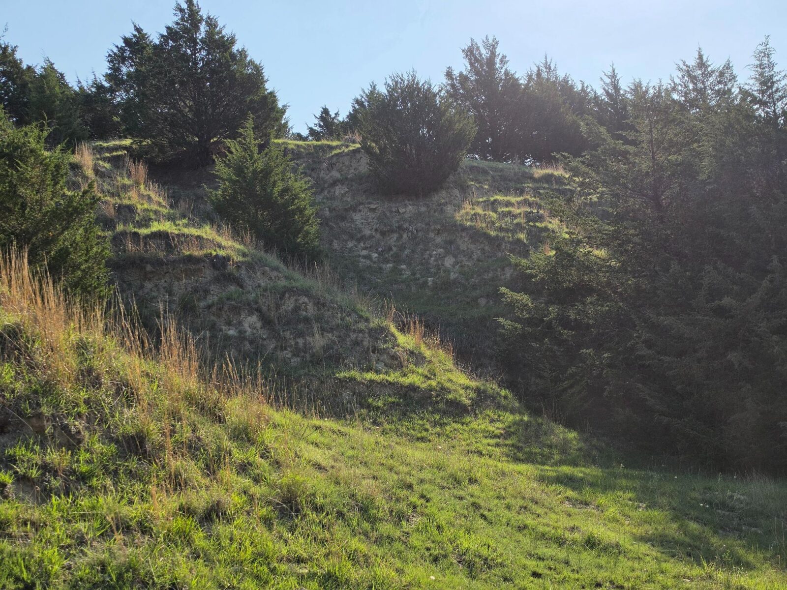 Wellfleet, Nebraska land for sale