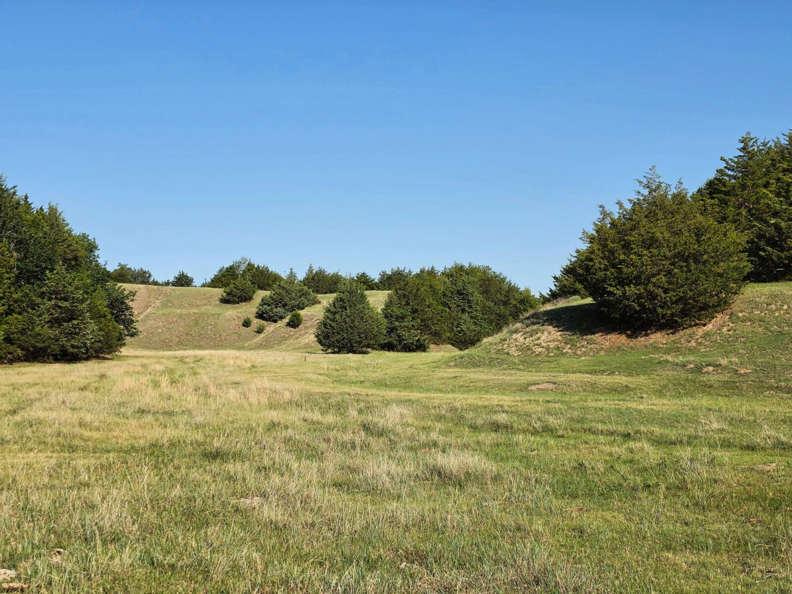 Wellfleet, Nebraska land for sale