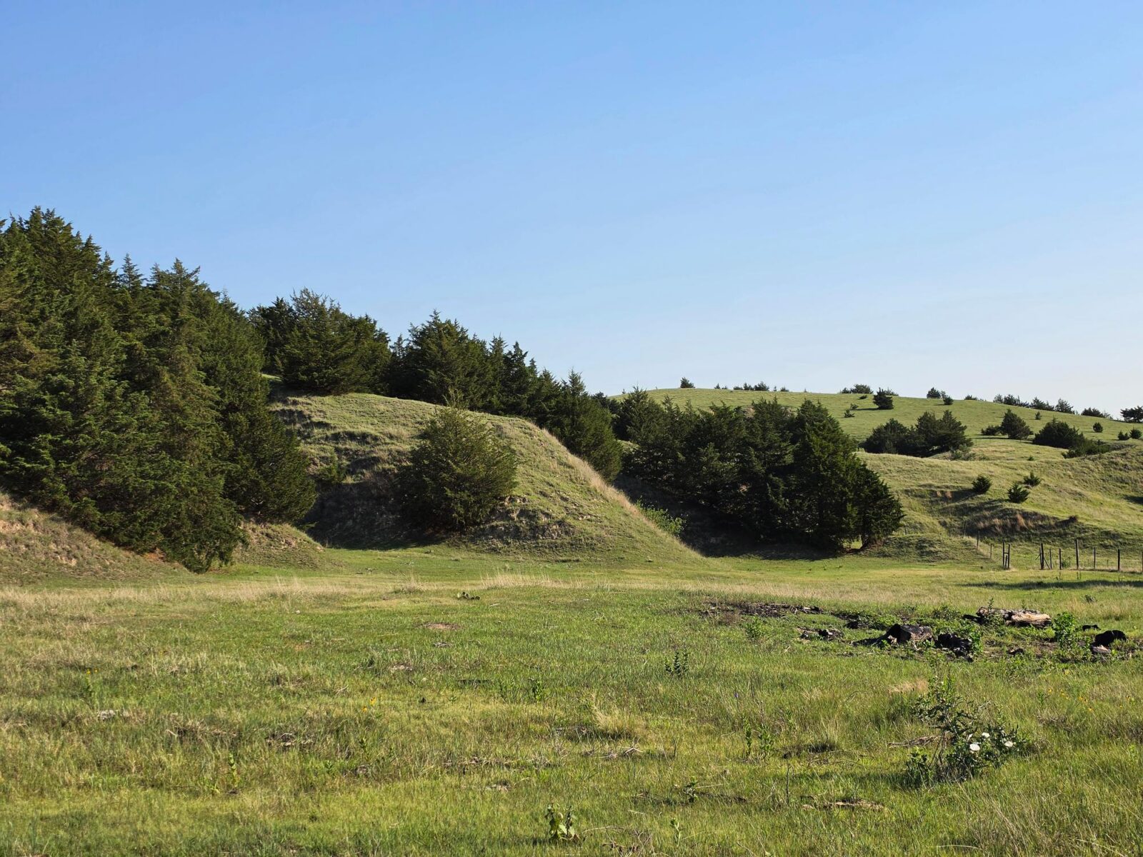 Wellfleet, Nebraska land for sale