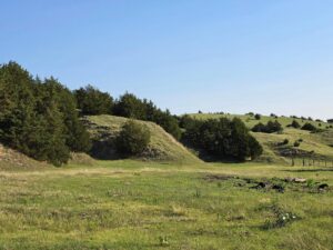 Wellfleet, Nebraska land for sale