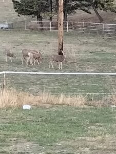 50 Acres, Dawes County, Sunset Ridge