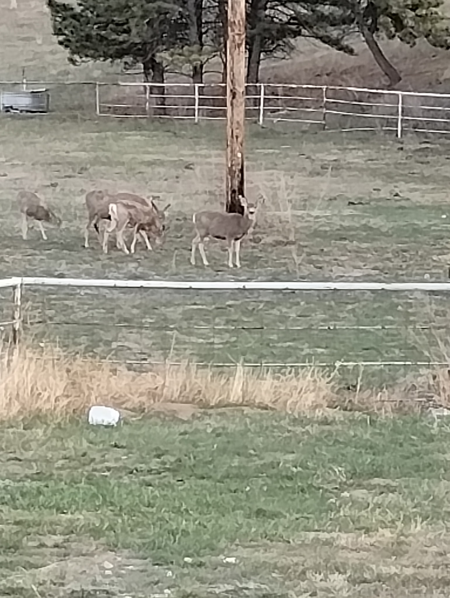 50 Acres, Dawes County, Sunset Ridge