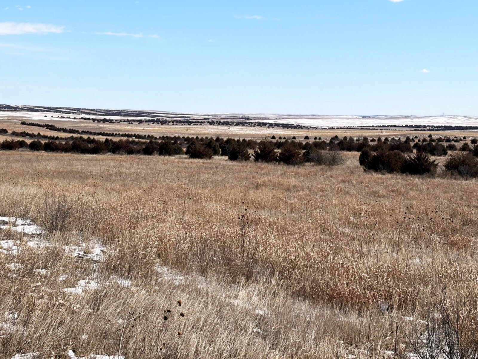 Box Butte County CRP land hunting for sale