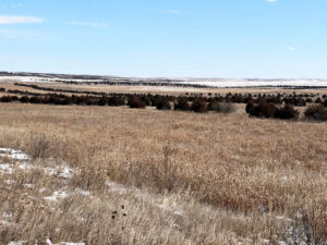 Box Butte County CRP land hunting for sale
