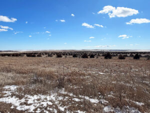 Box Butte County CRP land hunting for sale