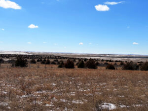 Box Butte County CRP land hunting for sale