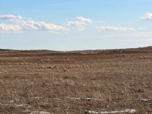 Box Butte County CRP land hunting for sale