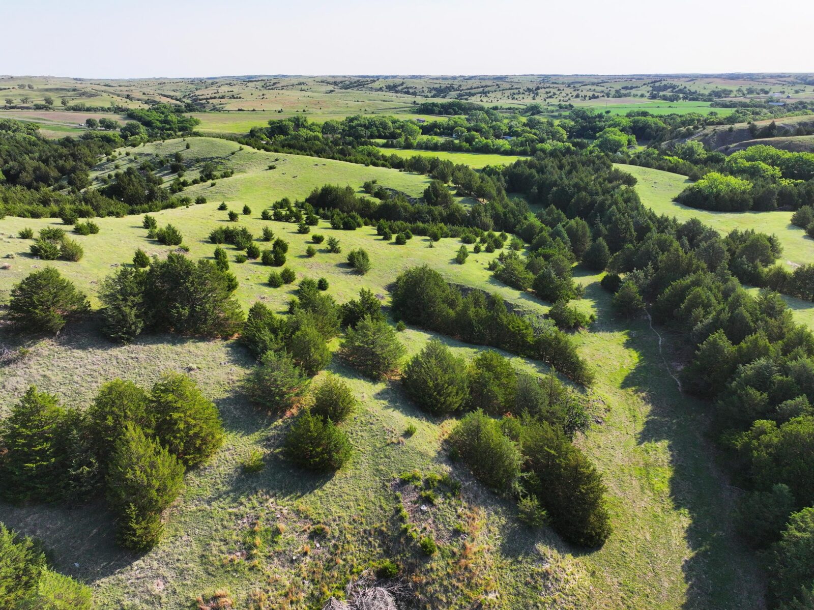 Wellfleet, Nebraska land for sale