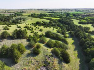 Wellfleet, Nebraska land for sale