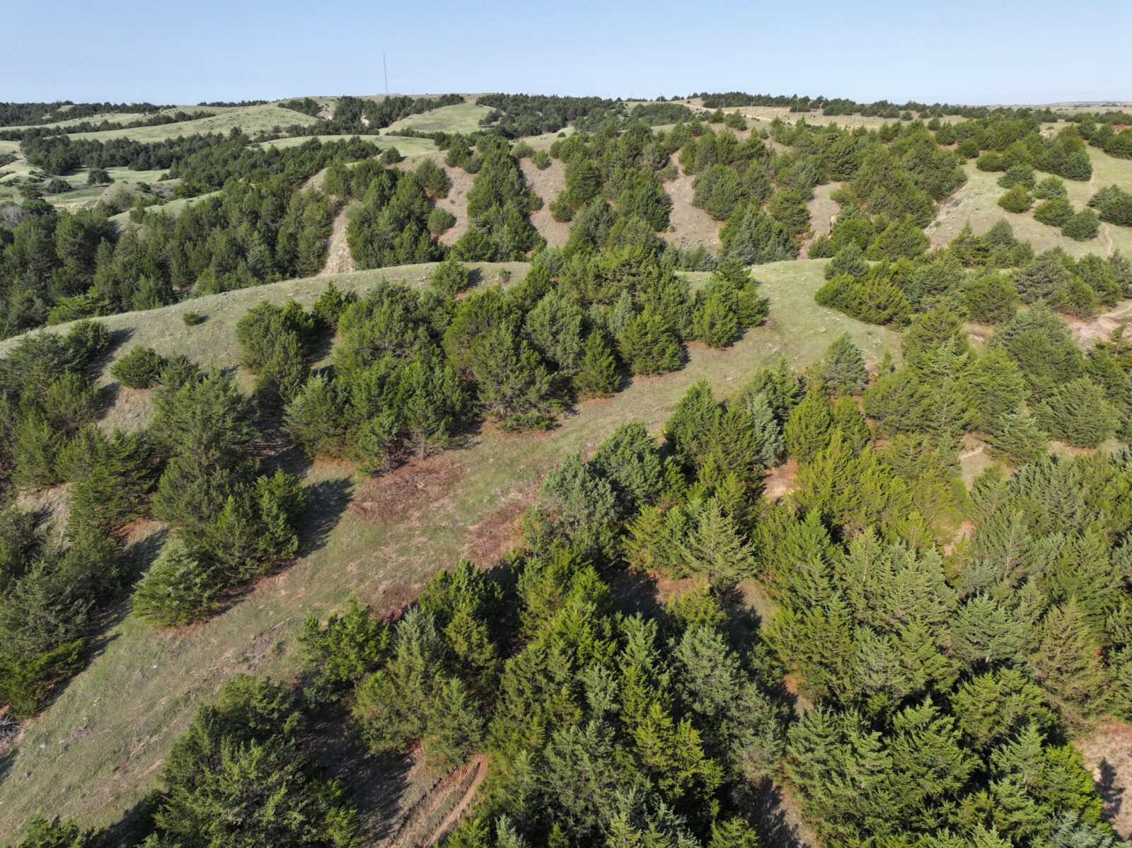Wellfleet, Nebraska land for sale