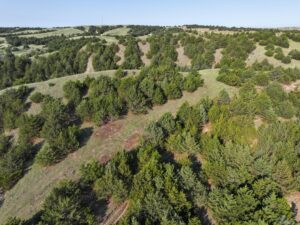 Wellfleet, Nebraska land for sale
