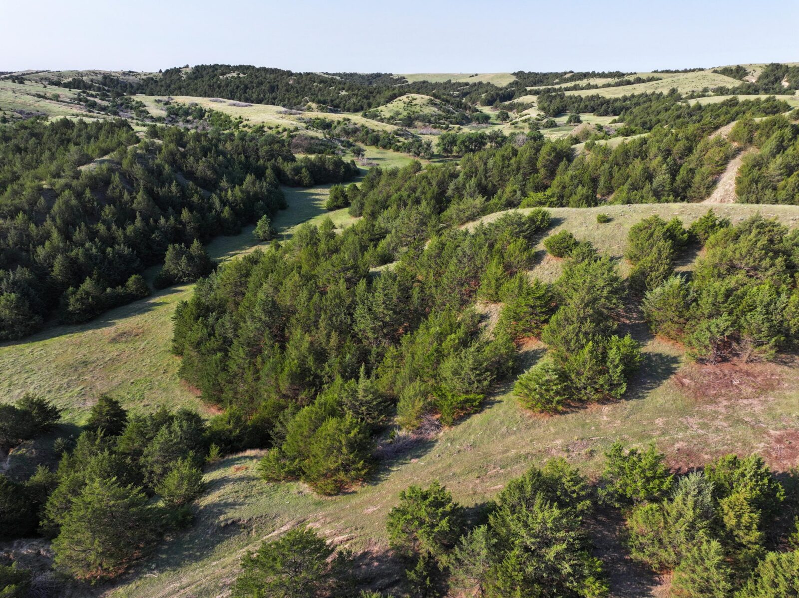 Wellfleet, Nebraska land for sale