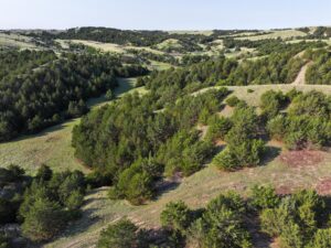 Wellfleet, Nebraska land for sale