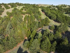 Wellfleet, Nebraska land for sale