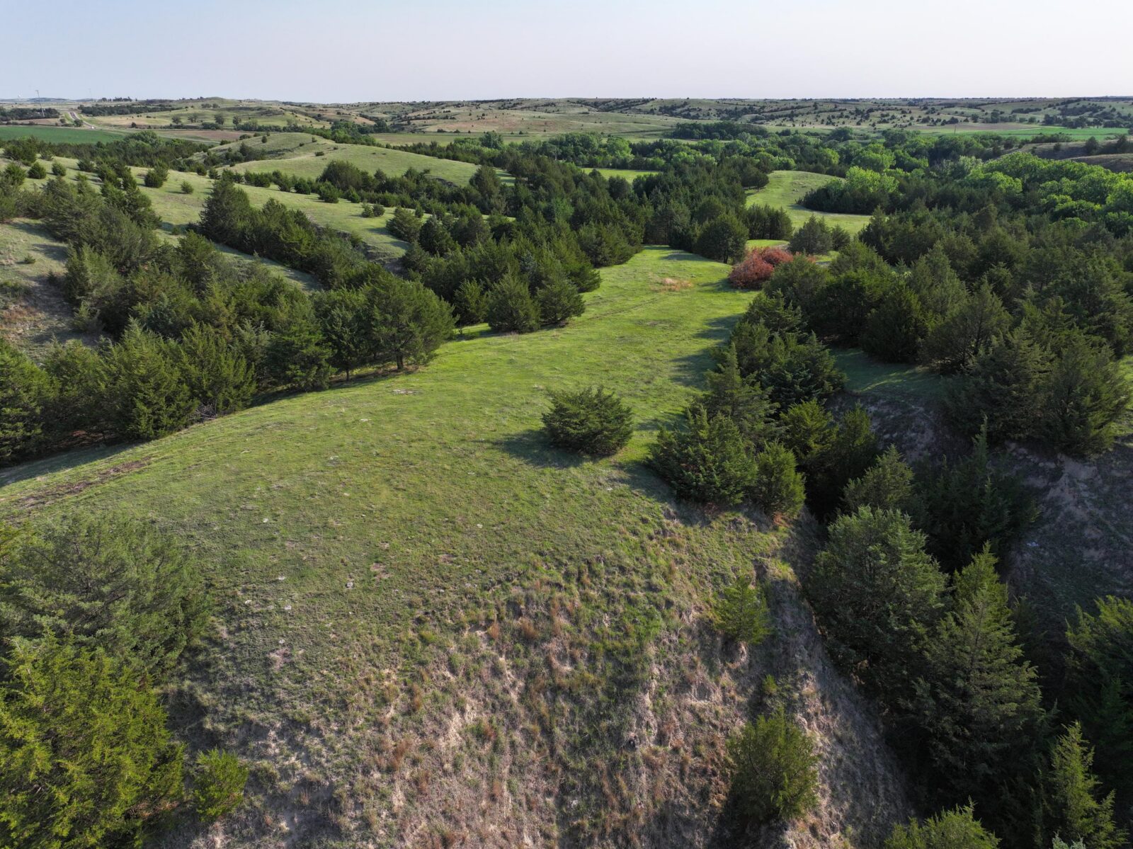 254 Acres, Lincoln County, Wellfleet Grazing and Hunting Ranch