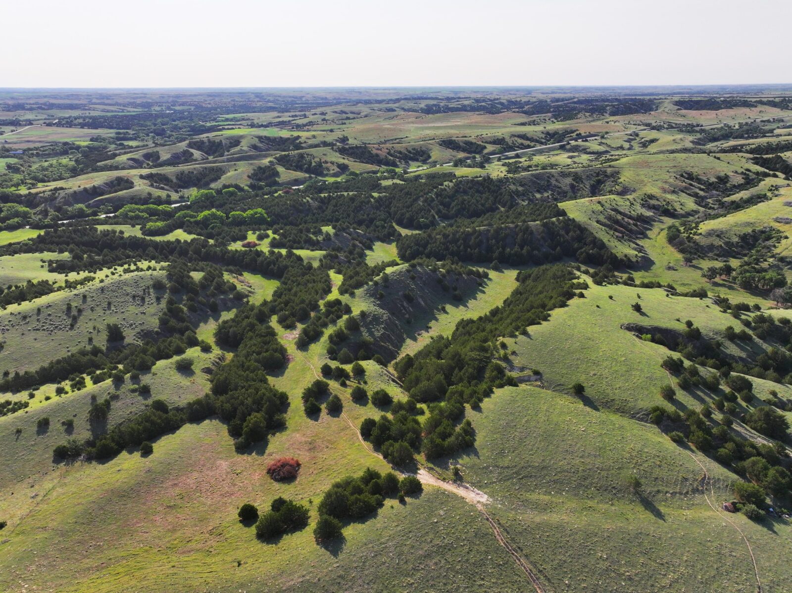 254 Acres, Lincoln County, Wellfleet Grazing and Hunting Ranch
